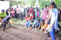 Environment Day 2018