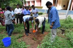 Environment Day 2017